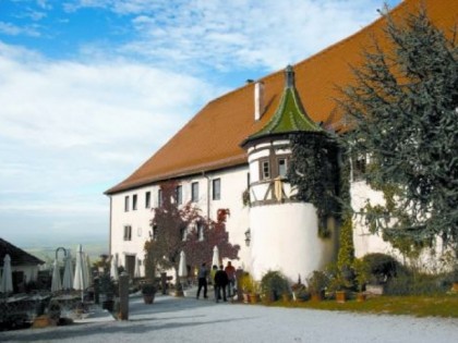 Foto: Schloss Hohenentringen